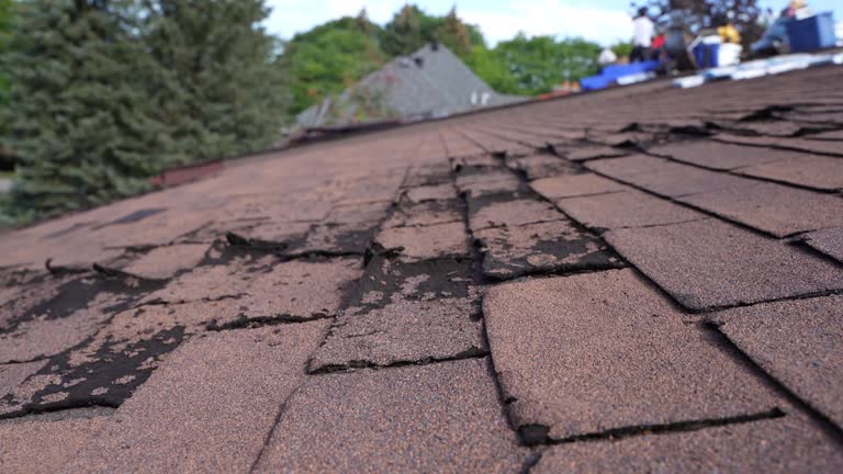Best 4 Ply Roofing  in Yardley, PA